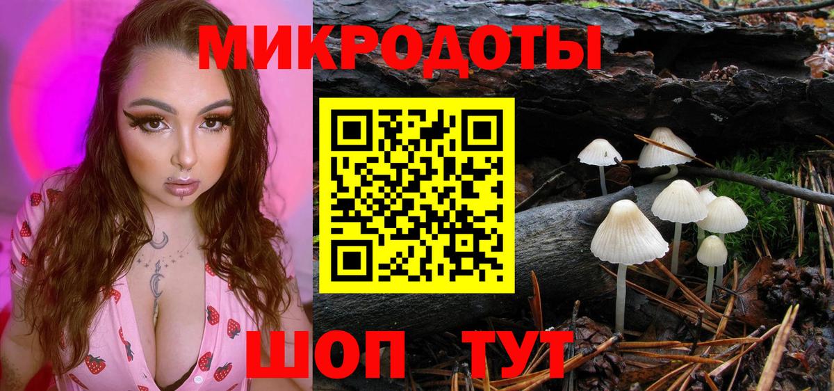 где найти   Псилоцибиновые грибы мухоморы  Псилоцибиновые грибы мицелий  Вход с VPN  Зеленокумск 