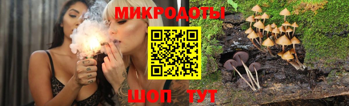 Галлюциногенные грибы Cubensis Зеленокумск